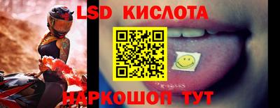 дживик Моздок