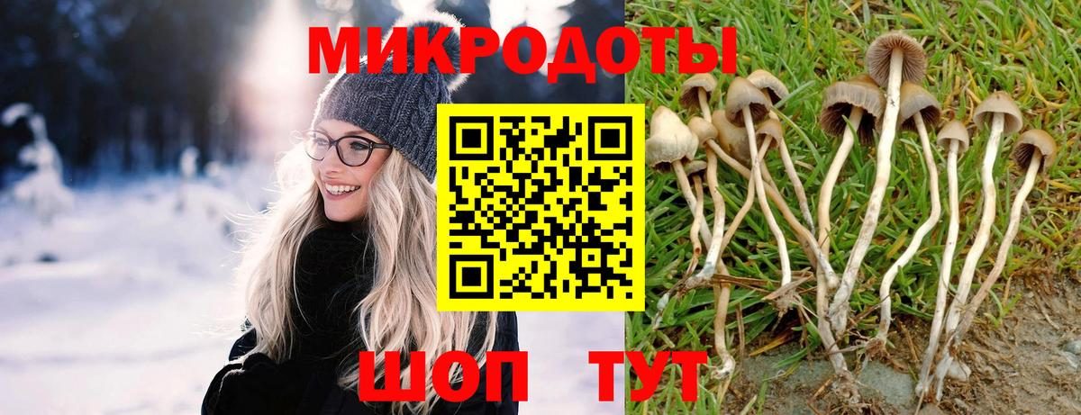 Псилоцибиновые грибы Cubensis Улан-Удэ